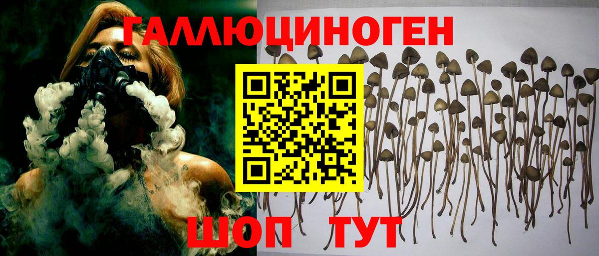 Псилоцибиновые грибы Magic Shrooms  Псилоцибиновые грибы прущие грибы  Вход с VPN  Россия 